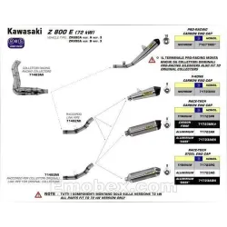 Escape Arrow Kawasaki Z800 E 2013-2016 Racetech Titanio copa Carbono - vista 3