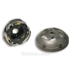 Embrague completo Malossi Maxi Delta MHR 5216184 