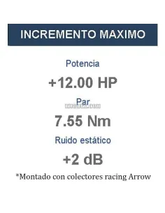Escape Kawasaki Z900 2017-2019 Arrow RaceTech Aluminio Dark copa Carbono - vista 1 2