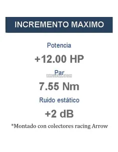 Escape Kawasaki Z900 2017-2019 Arrow ProRace Titanio copa Titanio - vista 1 2