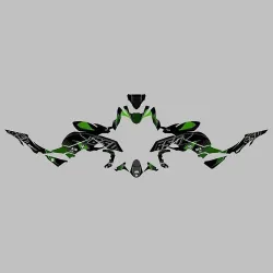 Kit vinilo Deco Up Maximize Kawasaki Z6502017-2019 Negro - Verde - vista 1