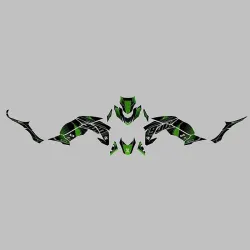 Kit vinilo Deco Up Maximize Kawasaki Z900 Negro - Verde - vista 1