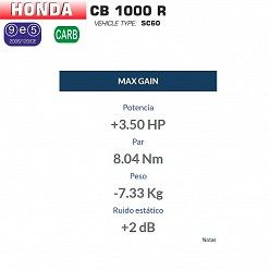 Escape Arrow Honda CB 1000 R 2008-2016 Racetech Dark Aluminio copa Carbono 71732AKN - vista 2