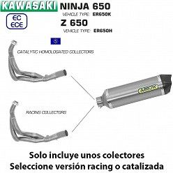 Escape completo Kawasaki Ninja 650 Arrow Racetech Titanio copa Carbono - vista 2