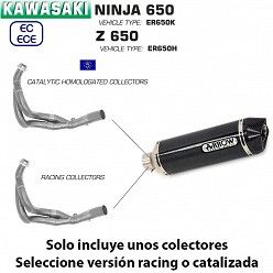 Escape completo Kawasaki Z650 2017-2020 Arrow Racetech Carbono copa Carbono - vista 1