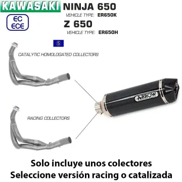 Escape completo Kawasaki Z650 2017-2020 Arrow Racetech Carbono copa Carbono - vista 1