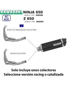 Escape completo Kawasaki Z650 2017-2020 Arrow Racetech Aluminio Dark copa Carbono 71854AKN + 71659MI 2