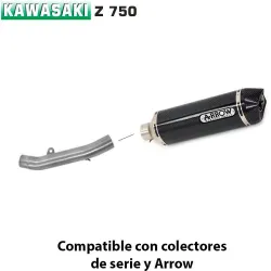 Escape Arrow Kawasaki Z750 2007-2014 Racetech Carbono copa Carbono - vista 1 Escape Arrow Kawasaki Z750 2007-2014 Racetech Carbono copa Carbono - vista 1