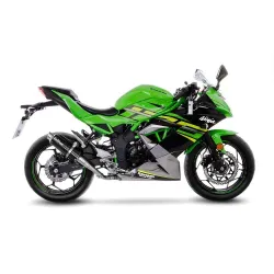 Escape Leovince Kawasaki Ninja 125 GP Corsa Carbono - vista 1 Escape Leovince Kawasaki Ninja 125 GP Corsa Carbono - vista 1