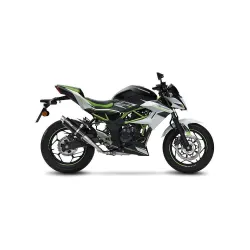 Escape Leovince Kawasaki Z125 GP Corsa Carbono - vista 1