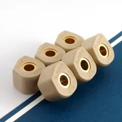 Rodillos especiales variador Dr.Pulley 17x12 - 6 rodillos