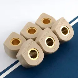 Rodillos especiales variador Dr.Pulley 20x12 - 6 rodillos