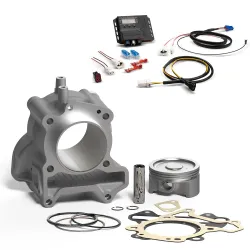 Kit cilindro Malossi 183cc con centralita 3117737 + 5519463