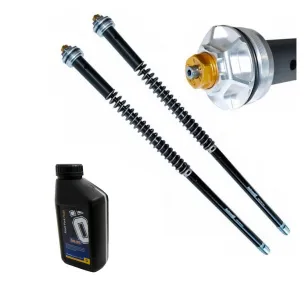 Kit Andreani Misano EVO cartuchos suspensión Honda CRF 250 Rally ALLROAD 105/H28E + 01309