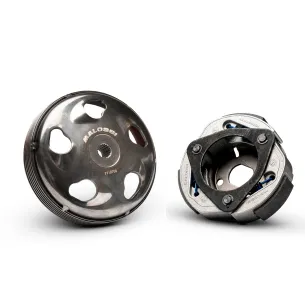 Embrague completo Malossi Maxi Fly System 5220384 5220384 - vista 1
