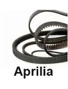 Correas Aprilia