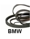 Correas BMW