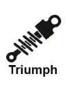 Amortiguacion moto Triumph