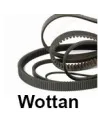 Correas Wottan